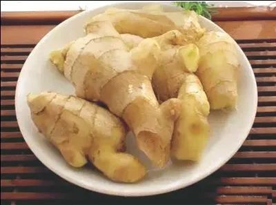 华体会体育hth官方网站|竞彩18日德甲推荐:美因茨VS云达不莱梅(图2) 华体会体育hth官方网站