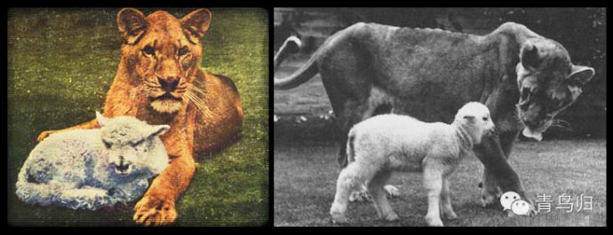 华体会体育hth官方网站