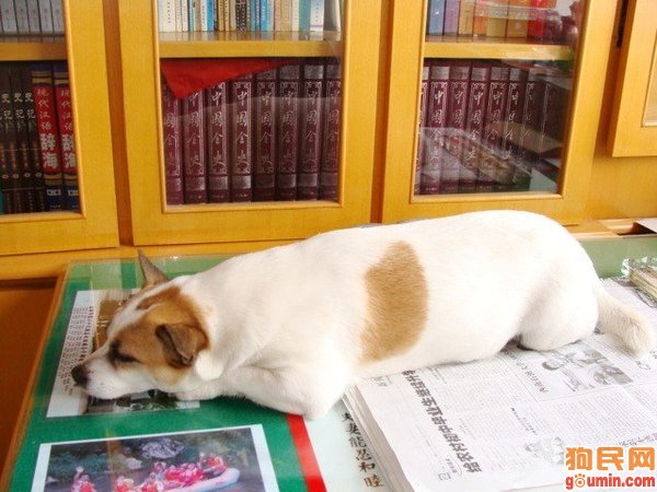 阳台标准高度是多少?阳台窗户标准高度是多少_hth官网入口(图1) hth官网入口