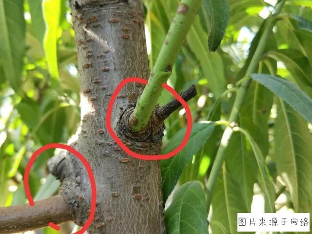 如何加强建筑工程施工管理探讨【hth官网入口】(图1) 华体会体育hth官方网站