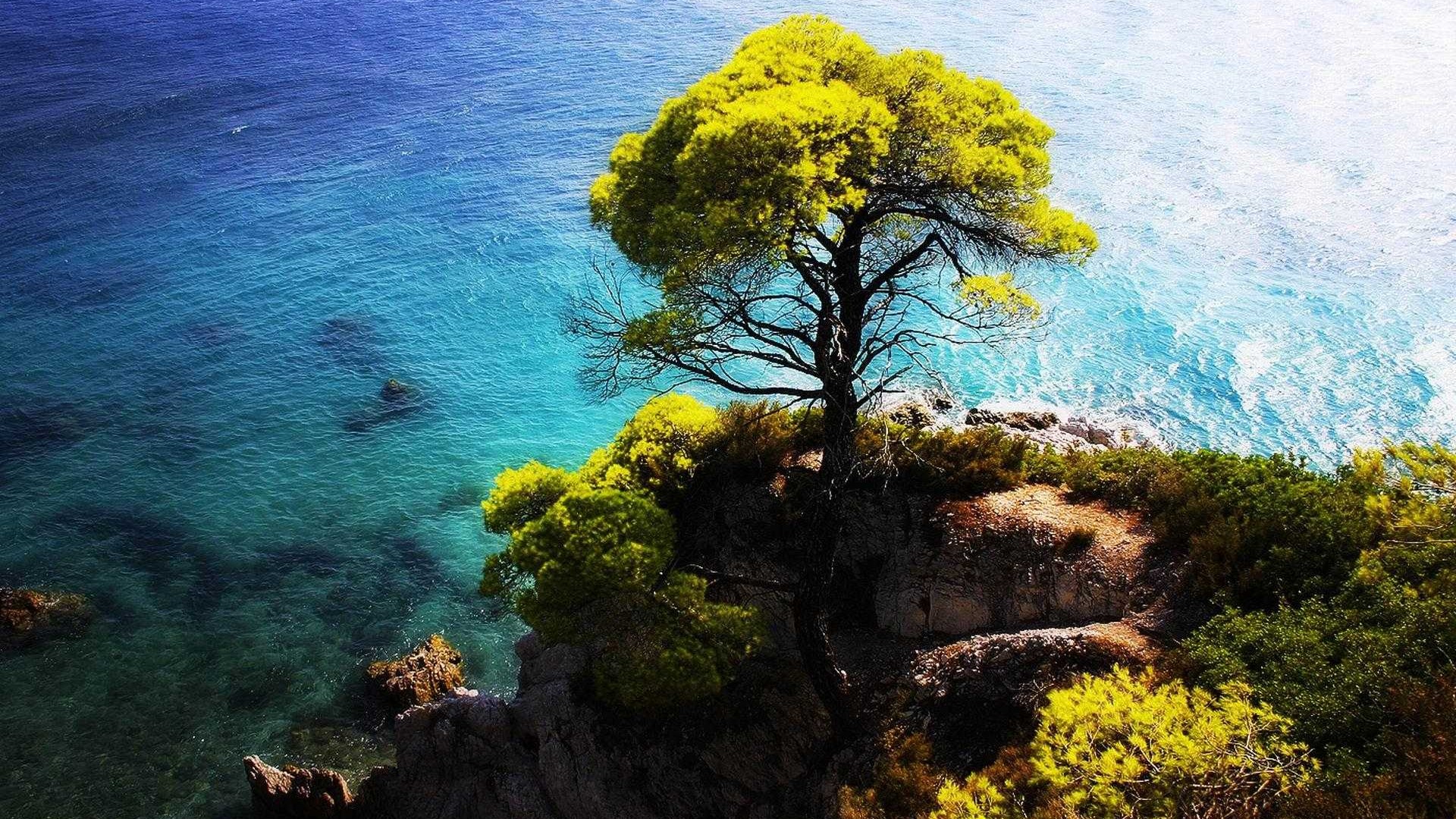 hth官网入口_天津大学建筑设计规划研究总院现代建筑产业化研究中心获市自然科学基金重点项目立项(图2) hth官网入口