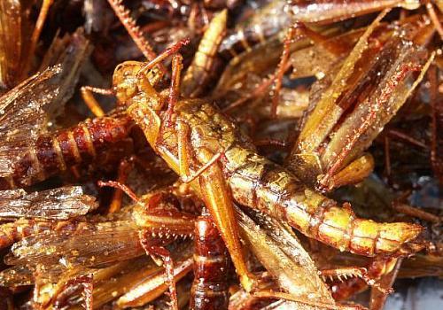 【hth官网入口】湖北省水利水电科学研究院履职尽责公开承诺(图3) hth官网入口