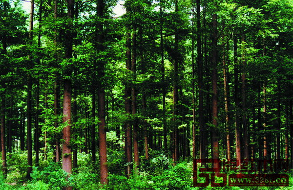 【hth官网入口】美国环境最差城市排行榜 洛杉矶蝉联第一(图2) hth官网入口