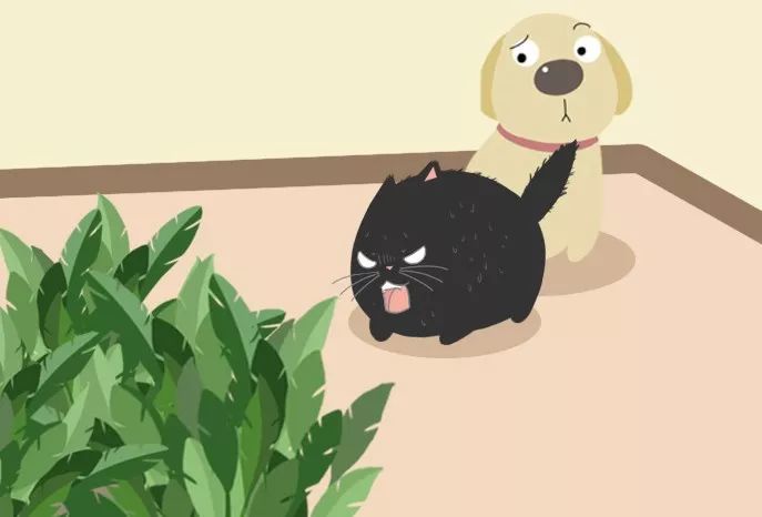 为了获得更多隐私 扎克伯格要重建自家周围的4栋房子‘hth官网入口’(图2) hth官网入口