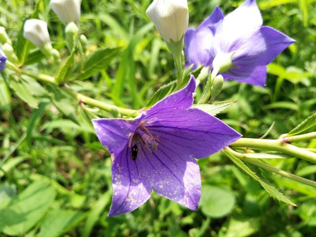 华体会体育hth官方网站:上海市政工程设计研究总院荣获年度上海企业创新文化十佳品牌(图3) hth官网入口