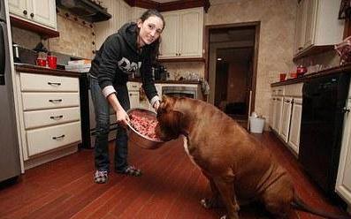 泛华集团喜获四项市级优秀工程设计奖【华体会体育hth官方网站】(图1) 华体会体育hth官方网站