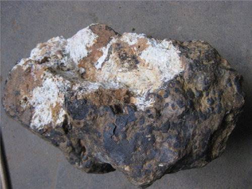 汉堡VS拜仁前瞻:拜仁为欧冠蓄力 两新星携手中场|hth官网入口(图1) 华体会体育hth官方网站