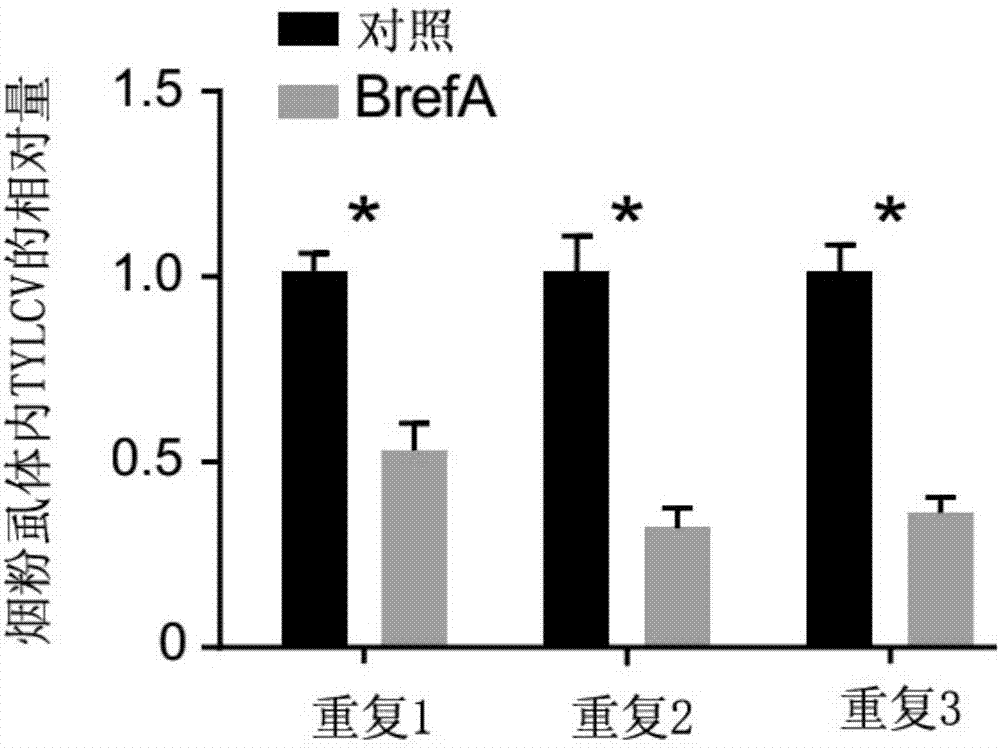 “hth官网入口”中石化洛阳工程有限公司山东项目中心揭牌成立(图3) 华体会体育hth官方网站