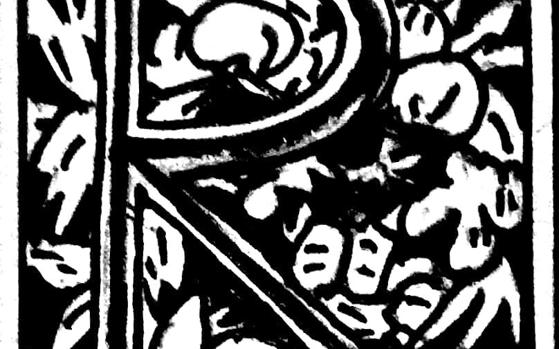 特蕾莎·博苏克获2015年度女建筑师奖“华体会体育hth官方网站”(图2) 华体会体育hth官方网站