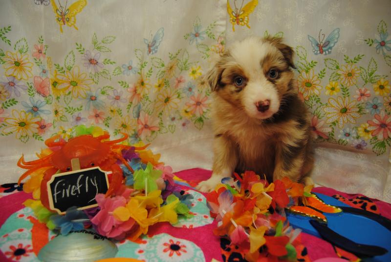 现代建筑施工管理的控制意义:华体会体育hth官方网站(图2) hth官网入口