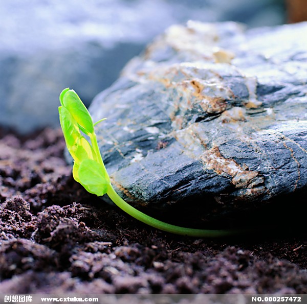 天大设计总院党委举办“两学一做”专题理论学习报告会|hth官网入口(图3) 华体会体育hth官方网站