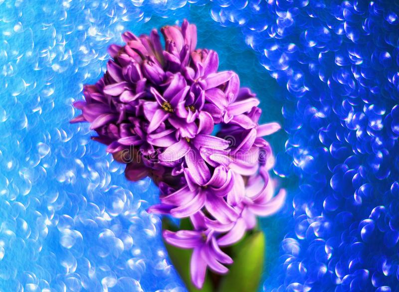 华体会体育hth官方网站