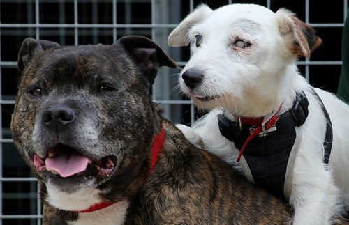 华体会体育hth官方网站