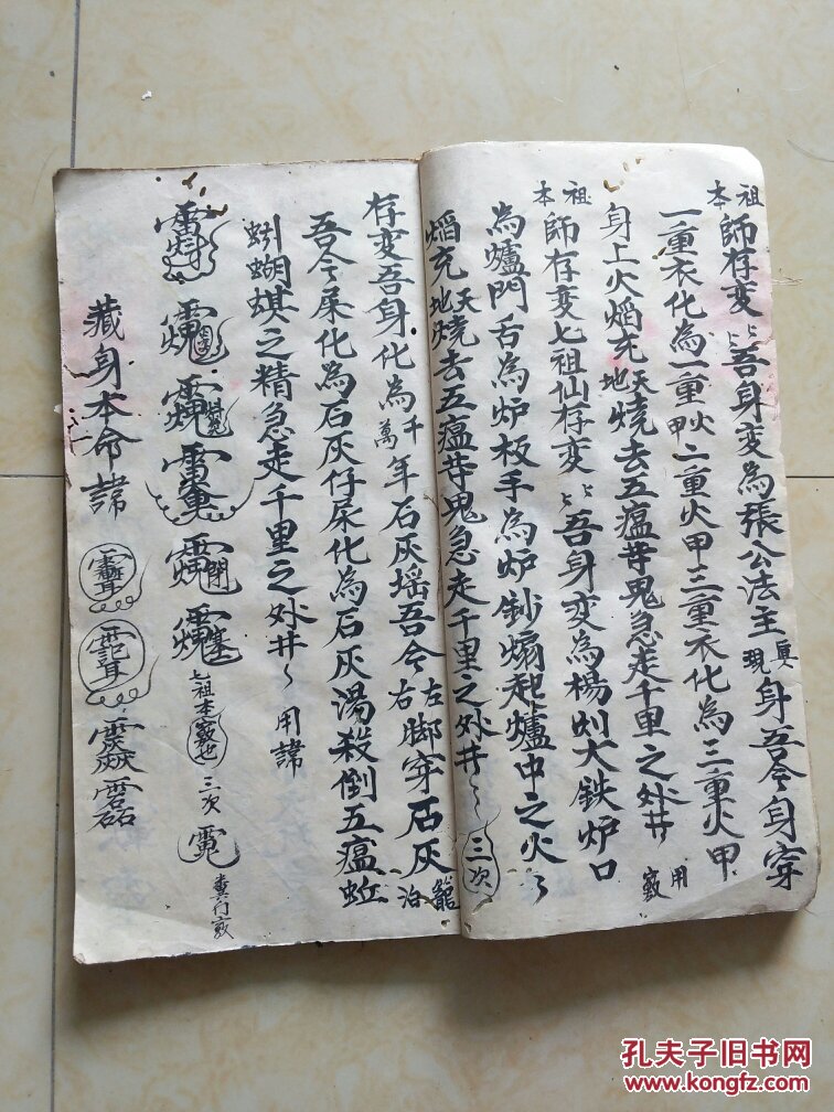 华体会体育hth官方网站