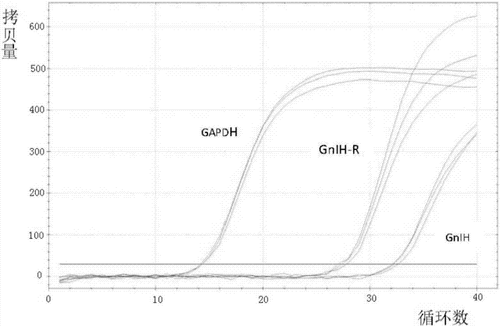 华体会体育hth官方网站