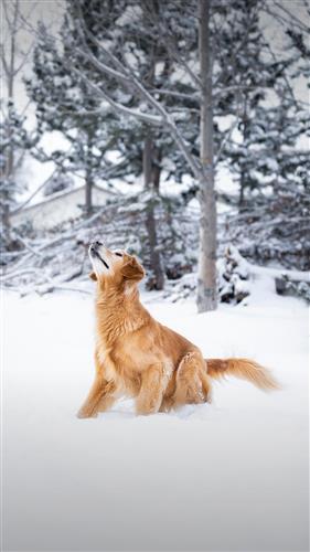 华体会体育hth官方网站