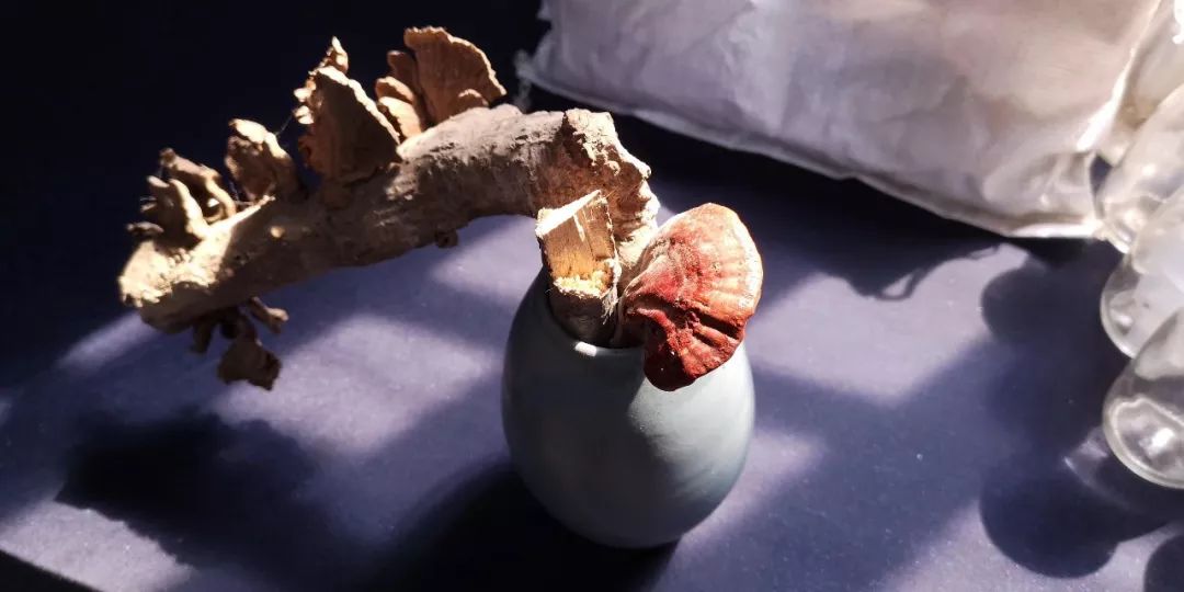 华体会体育hth官方网站-【好波至尊推荐】黑马本色逐渐褪去,门兴能否重回正轨?!(图1) 华体会体育hth官方网站