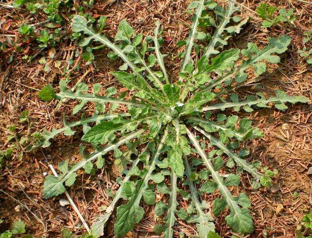 【华体会体育hth官方网站】辽宁省建筑设计研究院设计的“阜新万人坑死难矿工纪念馆”新馆方案赢得社会肯定(图1) hth官网入口