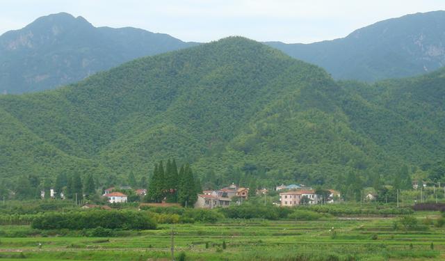 家里最不该买这5样家具电器了,我家全买了,后悔至今|hth官网入口(图2) hth官网入口