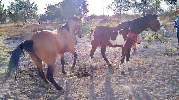 华体会体育hth官方网站