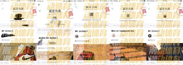 华体会体育hth官方网站