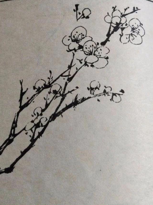 华体会体育hth官方网站