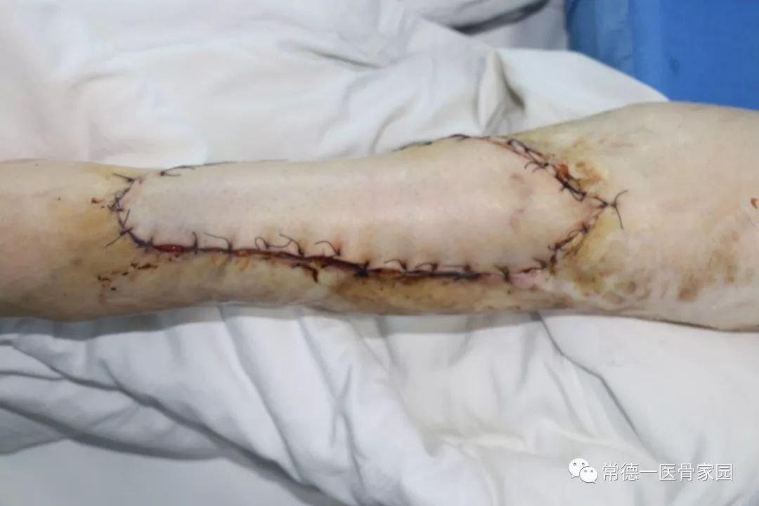 华体会体育hth官方网站