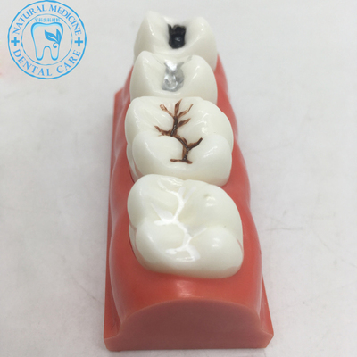 华体会体育hth官方网站