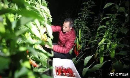 hth官网入口